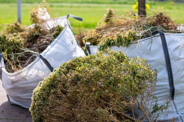 Best Appliance Removal Near Me  in Runge, TX